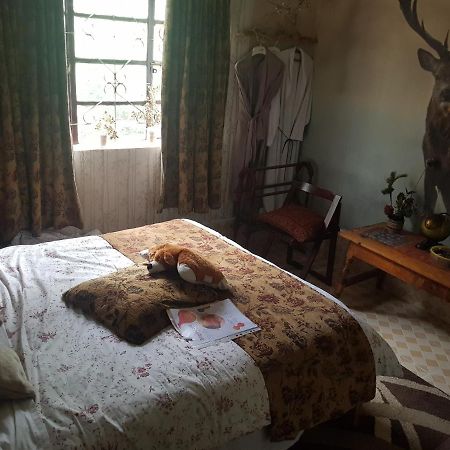 Sasana Motel And Guest House Bungoma المظهر الخارجي الصورة